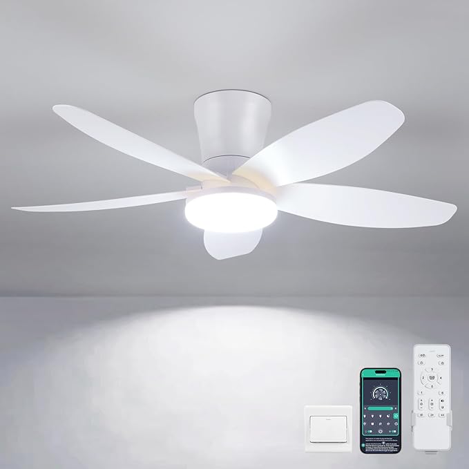Ceiling Fans & Accessories