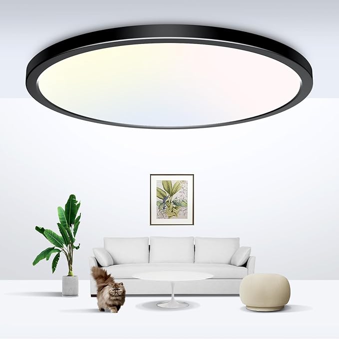 Ceiling Lights & Fixtures