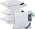 Utopia Bedding 22x22 Throw Pillow Inserts, Decorative Pillows, Plush & by UTOPIABEDDING