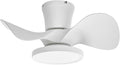 ocioc Quiet Ceiling Fan with LED Light 22 inch Large Air Volume Remote Control for Kitchen Bedroom Dining Room Patio