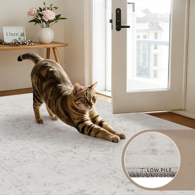 6x9 Area Rugs Living Room: Bedroom Washable Carpet Neutral Cream | Large - Image 7