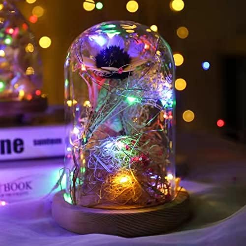 Sanniu Led Fairy Lights Battery Operated, 4 Packs Mini Battery Powered Copper Wire Starry String Lights for Christmas,Bedroom,Wedding,Parties,Patio,Indoor,Home Decoration (5m/16ft Multicolor)