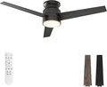 warmiplanet Flush Mount Ceiling Fan with Lights Remote Control, 52-Inch, Black, 3-Blades