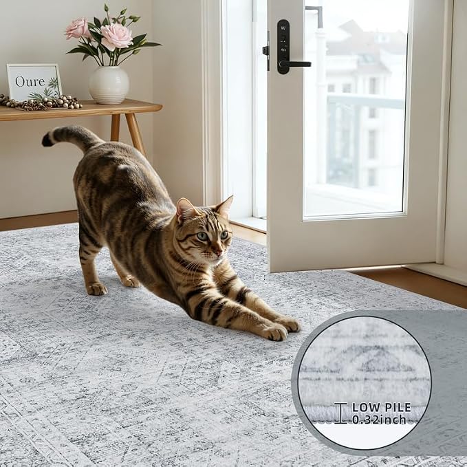 Round Area Rug Living Room: 6ft Neutral Washable Carpet Rug Gray | Vintage Boho - Image 6
