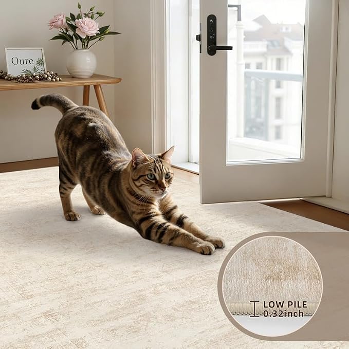 3x5 Area Rugs Living Room: Bedroom Washable Carpet Retro Beige | Large Vintage - Image 7