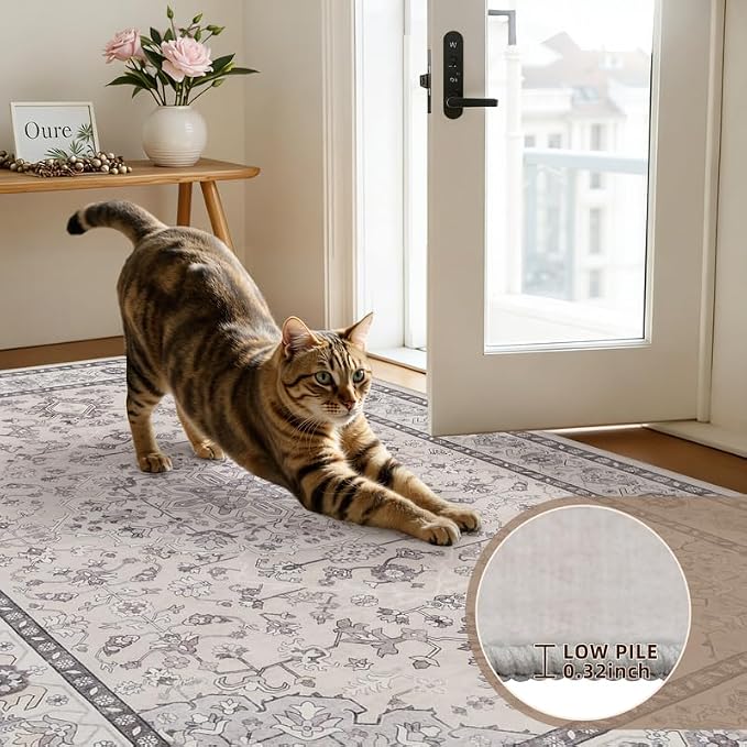 10x12 Area Rugs Living Room: Bedroom Washable Carpet Beige & Grey | Large - Image 9