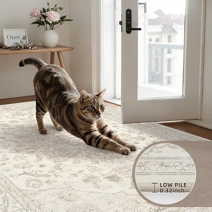Round Area Rug Living Room: 6ft Washable Carpet Beige White | Vintage Boho - Image 6