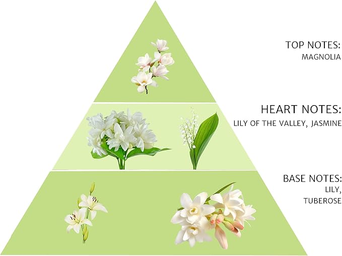 SPRING Fragrance Reed Diffuser Set | 6.1 oz (180ml) | Fragrance Made in France | Home Décor | Scented Aromatic Oil | Room Air Freshener White Flower | Lily, Jasmine, Lily of The Valley and Tuberose