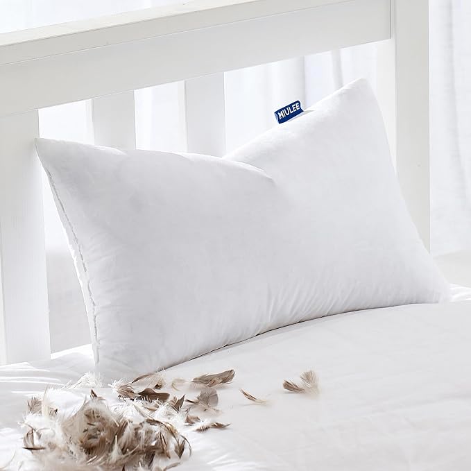 MIULEE Feather Pillow Insert 12x20, Throw Pillow by MIULEE