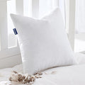 MIULEE Feather Pillow Insert 20x20, Throw Pillow by MIULEE