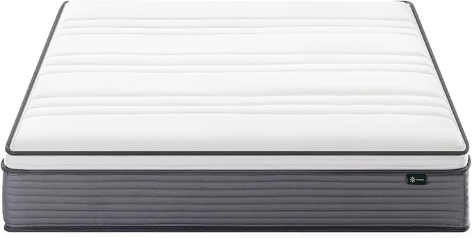 ZINUS 10 Inch True Support Hybrid Mattress [New Version], Queen, Fiberglass Free, Medium Feel, Motion Isolation, Certified Safe Foams & Fabric, Mattress in A Box