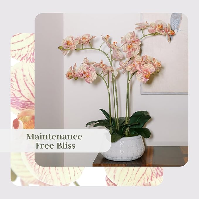 CG Hunter Faux Orange Orchid Plant, Premium Artificial Indoor Flower Display Stands 23”, Beautiful Sculptural Blooms That Lasts Forever, White Planter Pot Included