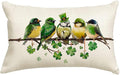 RABUSOFA St.Patricks Day Pillow Covers 12x20 Inch, Birds Shamrock St Patricks by RABUSOFA