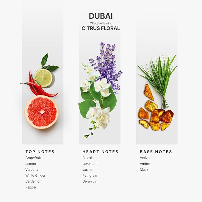 AromaPlan Hotel Scents Dubai 5 Fl Oz (2 Pack), Luxury Aroma & Hotel Fragrance Diffuser Oil- Hotel Diffuser Oil for Aromatherapy- USA Made, Bigger Bottle, Bolder Aroma & Longer Lasting