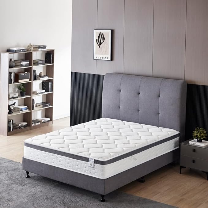 Queen Size Mattress - 10 Inch Cool Memory Foam & Spring Hybrid Mattress with Breathable Cover -Comfort Plush Euro Pillow Top - Rolled in a Box - Oliver & Smith