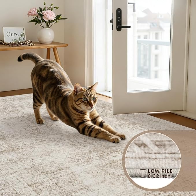 5x7 Area Rugs Living Room: Bedroom Neutral Washable Carpet Brown | Vintage Boho - Image 7