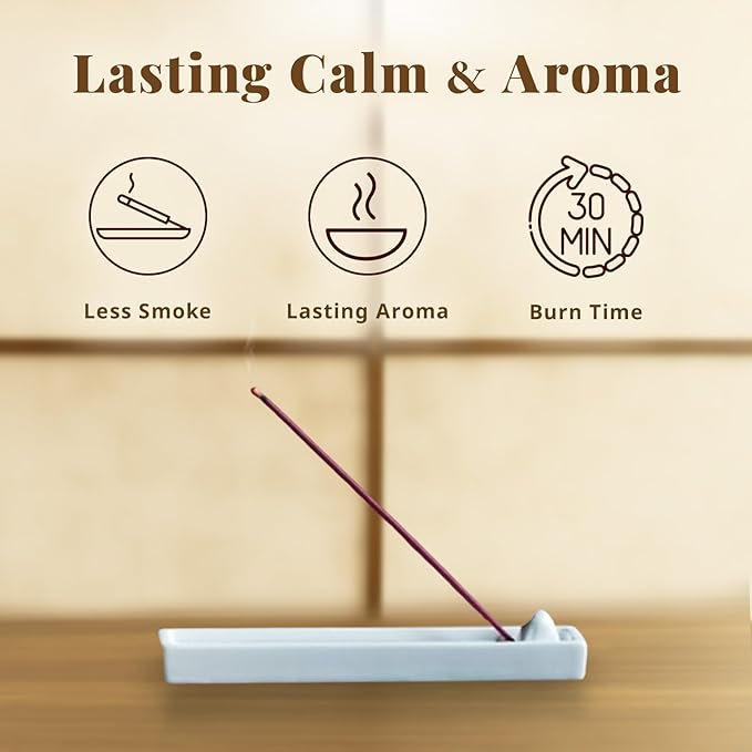 Hasegawa 永遠の今 | Hasegawa Original Low Smoke Japanese Incense Sticks | Agarwood & Sandalwood Blend | No Synthetic Fragrances (Mini, A Blend Agarwood & Sandalwood)