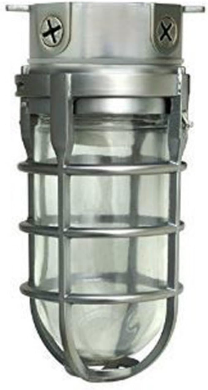 Woods L1706CH Vandal Resistant 150W Incandescent Security Light, Ceiling Mount, Chrome
