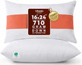 Utopia Bedding 16x24 Pillow Inserts, 2 Pack | Indoor cushion inserts by UTOPIABEDDING