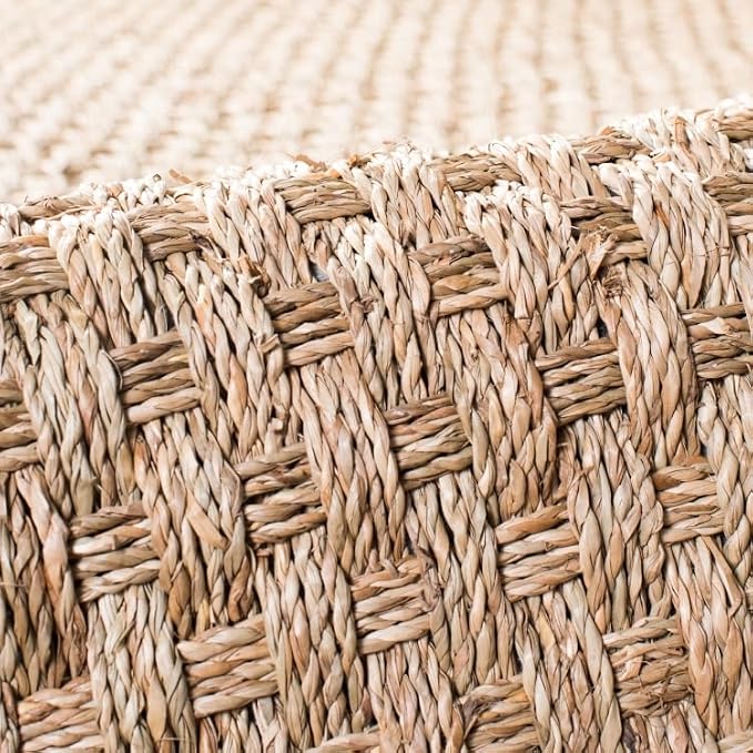 SAFAVIEH Area Rug 3x5 - Image 6