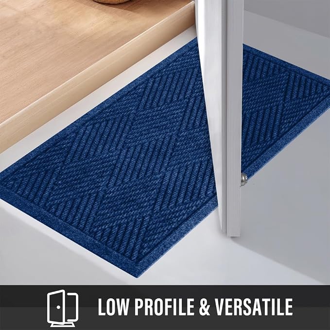 Sturdy Front Door Mat, Absorbent Muddy Dirt Resist Welcome Door Mats Outdoor - Image 6