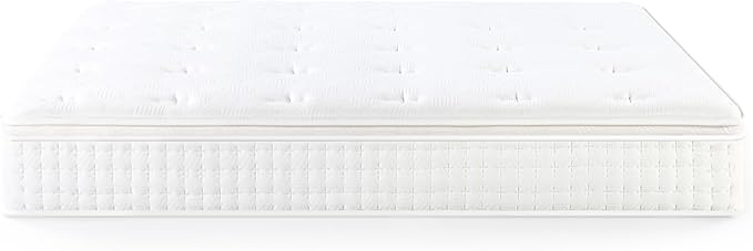 ZINUS 12 Inch Euro Top Pocket Spring Hybrid Mattress, Queen, Pressure Relief, Pocket Innersprings for Motion Isolation, Mattress in A Box