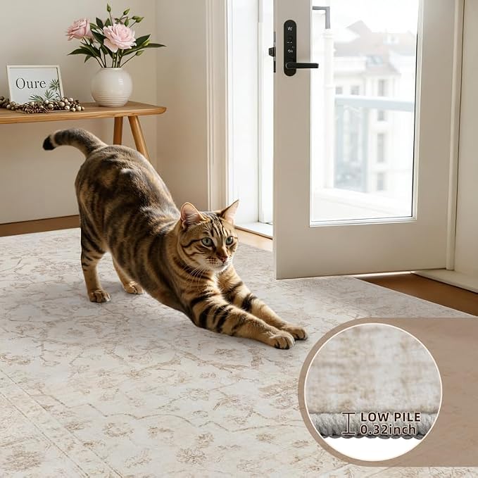 10x14 Area Rugs Living Room: Bedroom Washable Carpet Warm Beige | Vintage Boho - Image 9