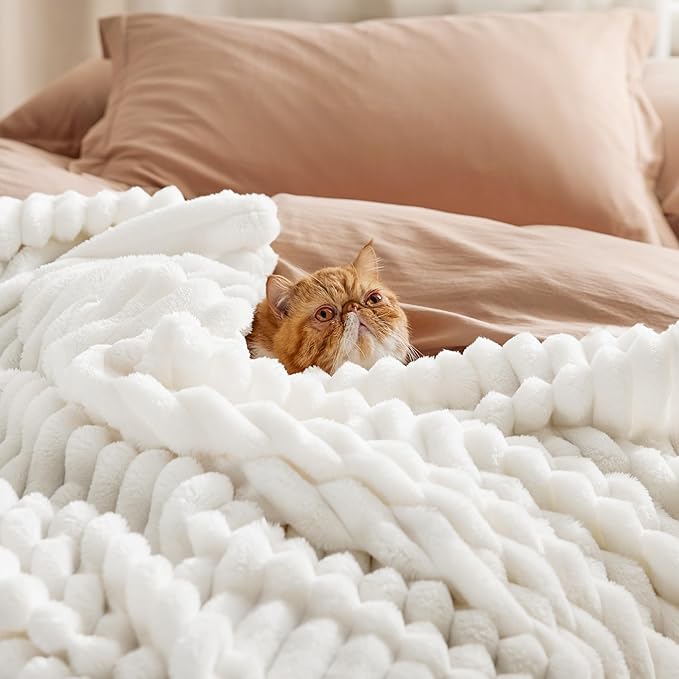 Bedsure GentleSoft Full Size Blanket for Bed - Cozy Soft Blankets for Women, Cute Large Fleece Throws for Girls, Off White, 84x90 Inches