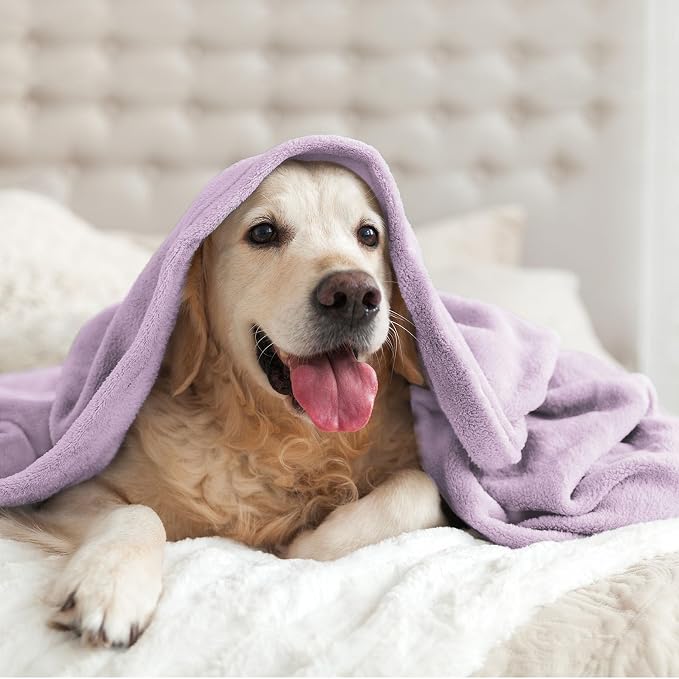 BEDELITE Fleece Blanket Soft Plush Queen Size Bed Blanket Lilac 90"x90" | Ultra - Image 9
