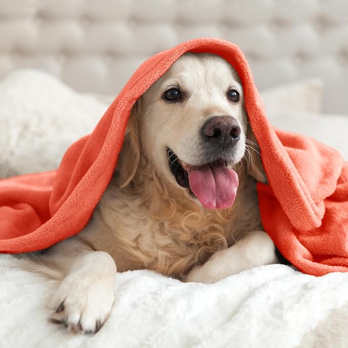 BEDELITE Fleece Blanket Soft Plush Throw - Image 5