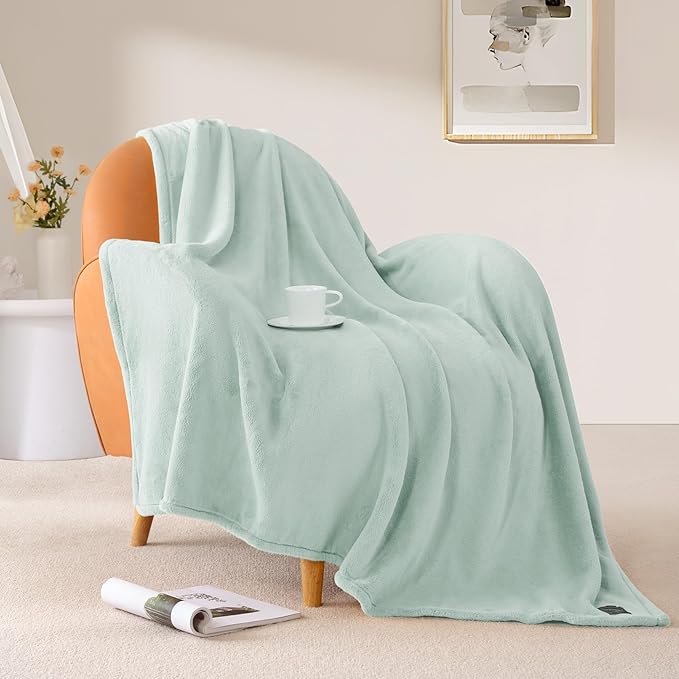 BEAUTEX Fleece Throw Blanket for Couch Sofa or Bed Throw Size, Soft Fuzzy Plush Blanket, Luxury Flannel Lap Blanket, Super Cozy and Comfy for All Seasons (50" x 60",Mint)