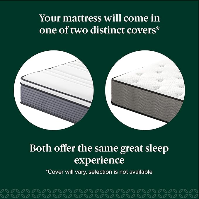 ZINUS 10 Inch True Support Hybrid Mattress [New Version], Queen, Fiberglass Free, Medium Feel, Motion Isolation, Certified Safe Foams & Fabric, Mattress in A Box