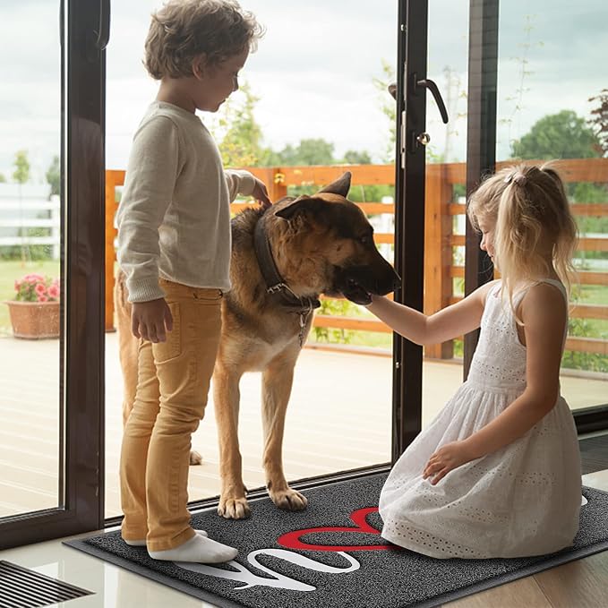 Door Mat Welcome Mat Floor Mat for Entryway, High Traffic Areas | Low Profile - Image 2