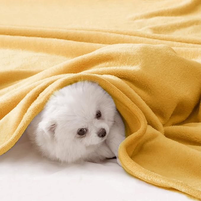 BEAUTEX Fleece Throw Blanket for Couch Sofa or Bed Throw Size, Soft Fuzzy Plush Blanket, Luxury Flannel Lap Blanket, Super Cozy and Comfy for All Seasons (Yellow, 50" x 60")