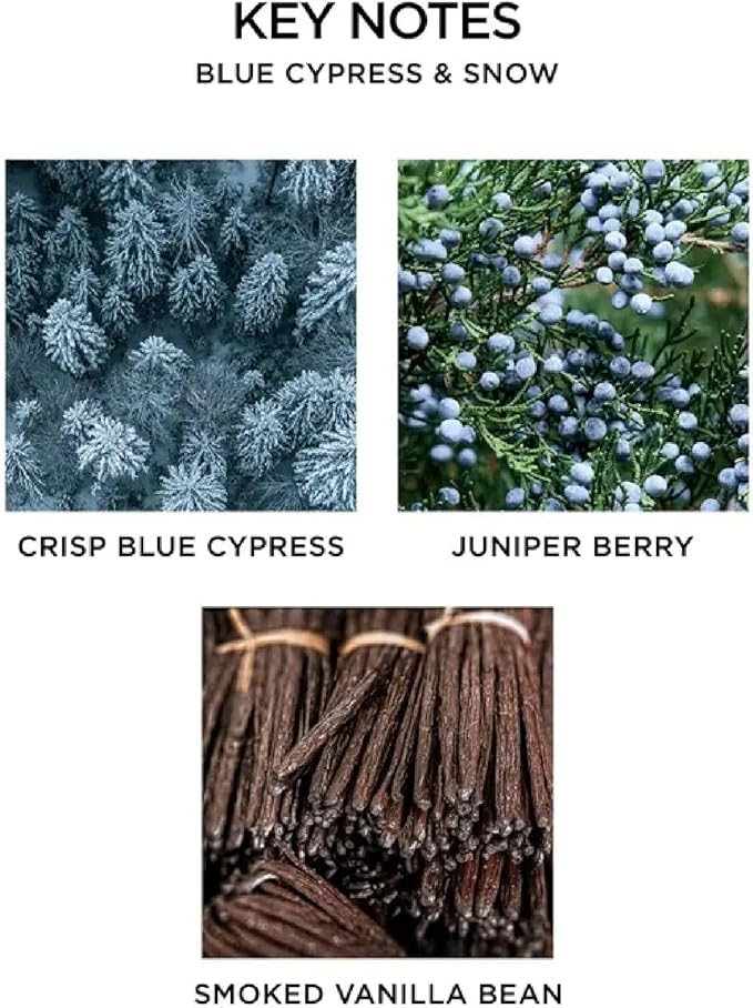 NEST New York Reed Diffuser, Blue Cypress & Snow - 5.9 fl oz - Fragrance for Up to 90 Days - Reusable, Refillable Glass Holder - Includes 8 All-Natural Reed Sticks - Flame Free