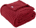 60x80 Inch Red Twin Blanket by LUSSENAHOME