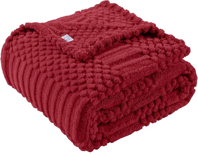 60x80 Inch Red Twin Blanket by LUSSENAHOME