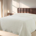 Richave Cuddly Blanket Twin Size,Premium Lightweight Anti-Static Fluffy Fleece Blanket with Striped Pattern for Twin/Twin XL Extra Long Bed, 66x90 Inches,Cream