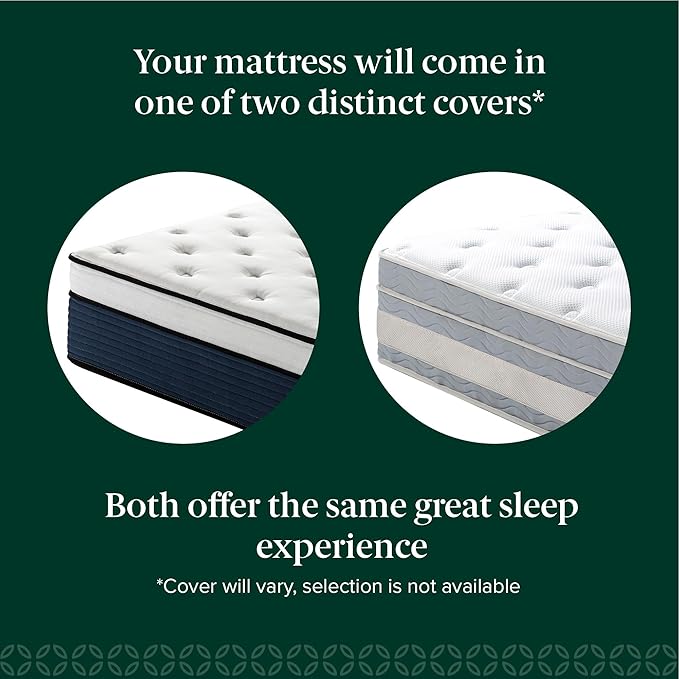 ZINUS 14 Inch Cooling Comfort Support Hybrid Mattress [New Version], California King, Fiberglass Free, Medium Plush, Cooling Motion Isolation, Certified Safe Foams & Fabric, Mattress in A Box