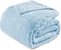 Exclusivo Mezcla Fleece Twin Size Blanket for Bed, 90x66 Inches Soft Cozy Jacquard Flannel Blankets, Lightweight Fuzzy Plush Warm for Winter, Light Blue
