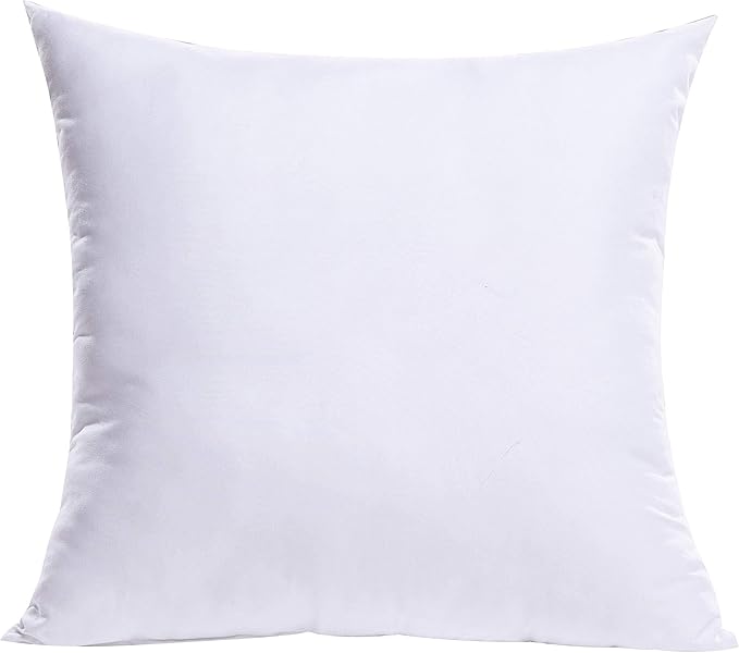 MIULEE 20x20 Inch Throw Pillow Insert by MIULEE