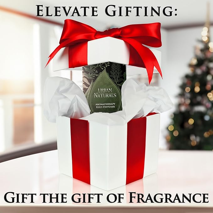 Urban Naturals Oud Reed Diffuser Set – Bergamot, Raspberry, Oud, Musk, Warm Amber – Made with Essential Oils – Sleek Rectangular Refillable Glass Bottle – Made in The USA