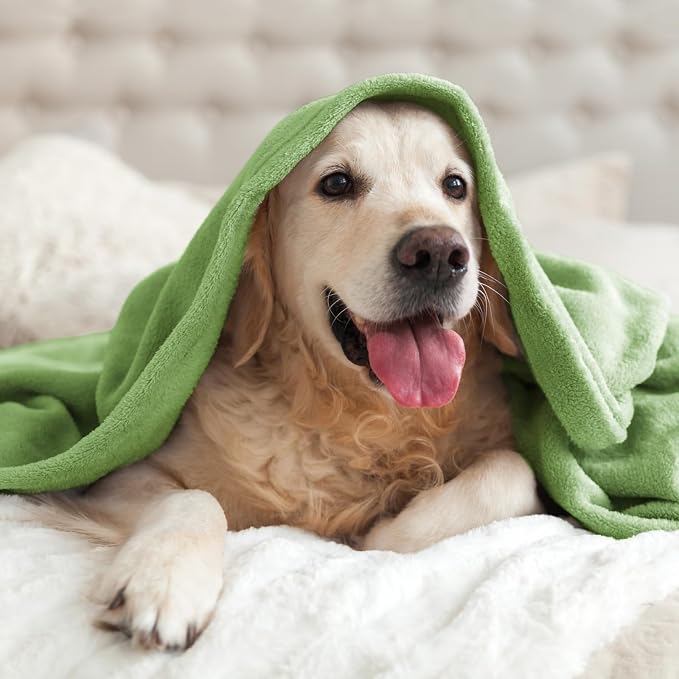 BEDELITE Fleece Blanket Soft Plush King Bed Blanket Grass Green 108"x90" | - Image 9