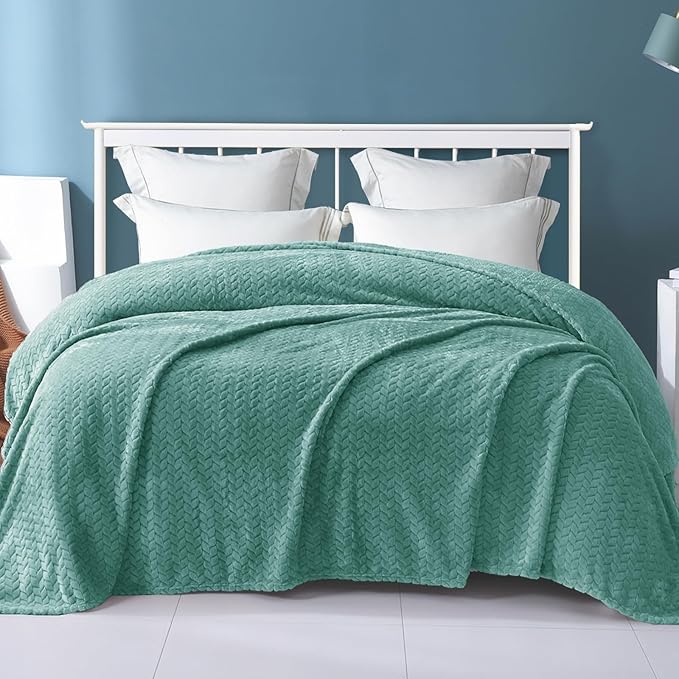 Exclusivo Mezcla Fleece Twin Size Blanket for Bed, 90x66 Inches Soft Cozy Jacquard Flannel Blankets, Lightweight Fuzzy Plush Warm for Winter, Celadon