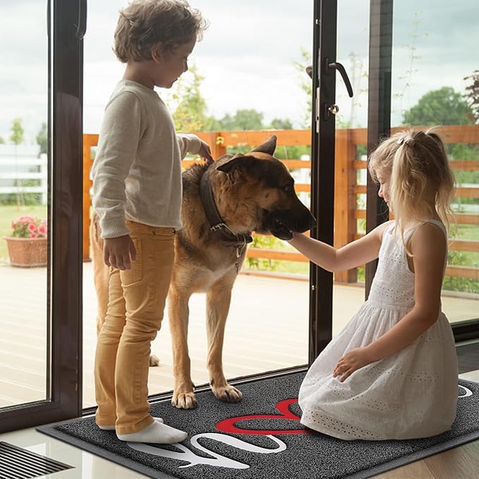 Door Mat Welcome Mat Floor Mat for Entryway, High Traffic Areas | Low Profile - Image 2