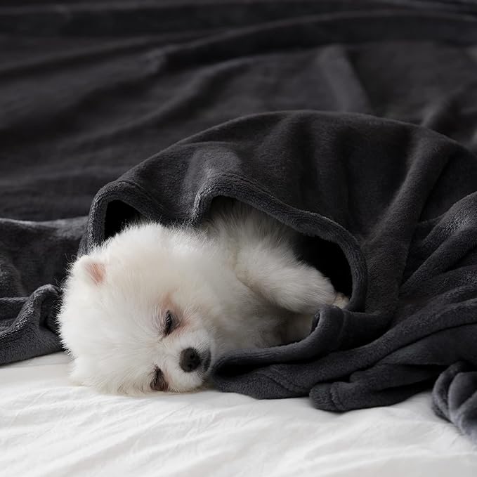 BEAUTEX Fleece Blanket King Size Super Soft Flannel Throw Blanket Lightweight Fuzzy Plush Blanket for Couch Sofa or Bed All Seasons (Black, 108" x 90")