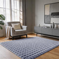 Blue Grey Rabbit Plush Rug 3'x5', Fluffy Shaggy Area Rug by CHOVY
