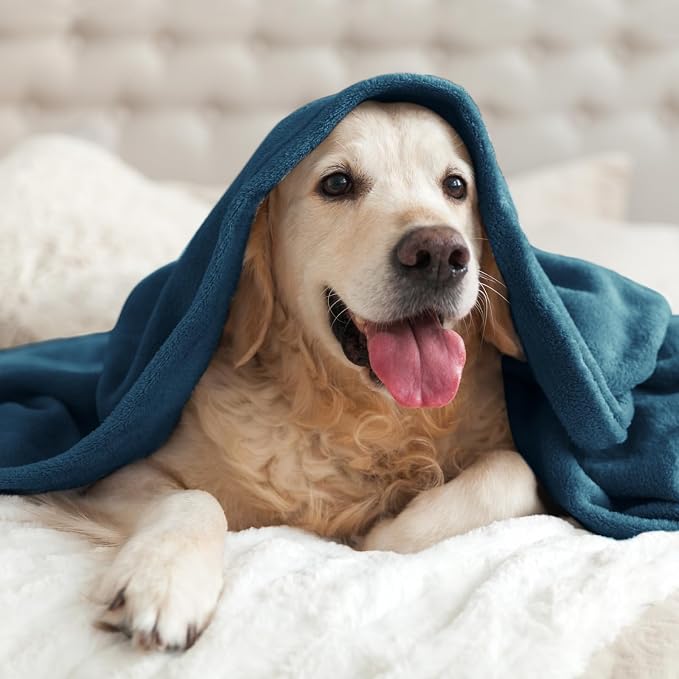 BEDELITE Fleece Blanket Soft Plush Throw - Image 7