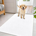 OLANLY Dog Door Mat for Muddy Paws 44x32, Super Absorbent Chenille Mud Mat | by OLANLY
