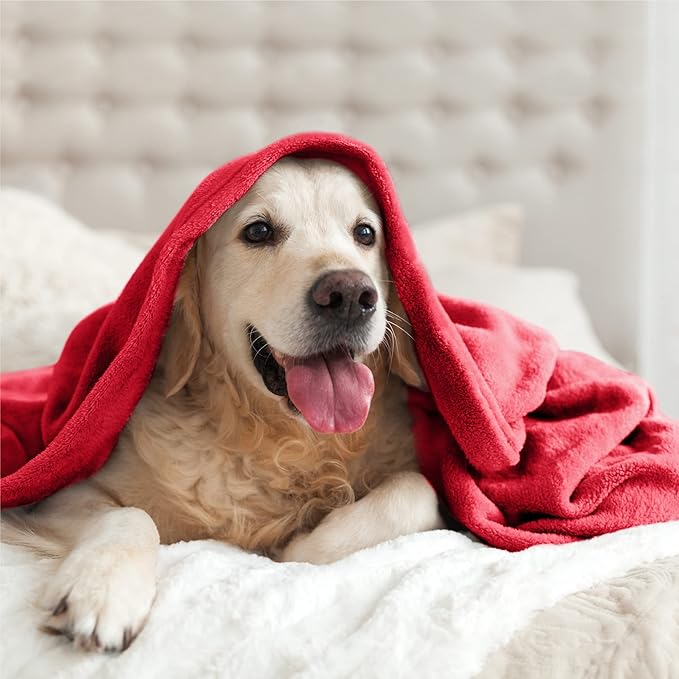 BEDELITE Fleece Blanket Soft Plush Twin Size Blanket Red 60"x80" | Ultra Soft - Image 7